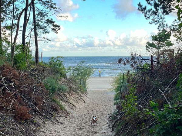 4 Tage polnische Ostsee & Strand in Pobierowo, Westpommern inkl. Frühstück Aktuelle Ostseereisen online kaufen