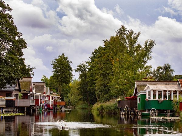 5 Tage UrlaubsTräume inkl. HP Plus Hotel Am Tierpark in Güstrow, Mecklenburg-Vorpommern inkl. Halbpension Plus Aktuelle Ostseereisen online kaufen 5 Tage UrlaubsTräume inkl. HP Plus Hotel Am Tierpark in Güstrow, Mecklenburg-Vorpommern inkl. Halbpension Plus Aktuelle Ostseereisen online kaufen