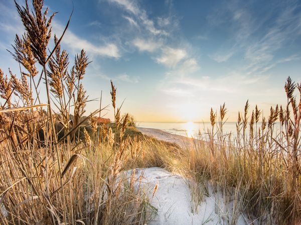 9 Tage in Rostock die Ostsee genießen in Rostock - Markgrafenheide, Mecklenburg-Vorpommern inkl. Frühstück Aktuelle Ostseereisen online kaufen