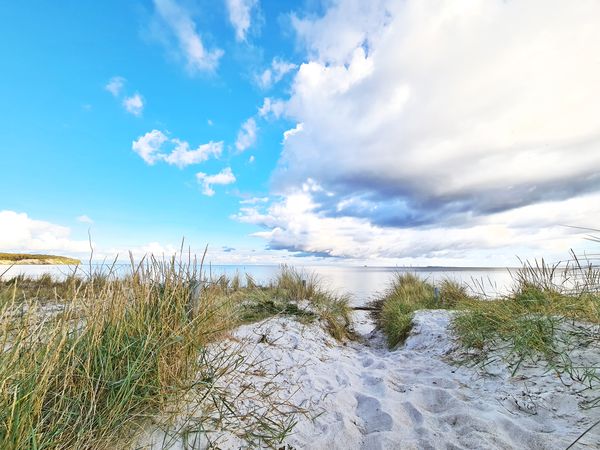 Die 6 Tage-Wellness-Kurzreise auf die Insel Rügen in Ostseebad Göhren, Mecklenburg-Vorpommern inkl. Vollpension Aktuelle Ostseereisen online kaufen