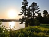 Helenesee die kleine Ostsee – Erholung in Brandenburg