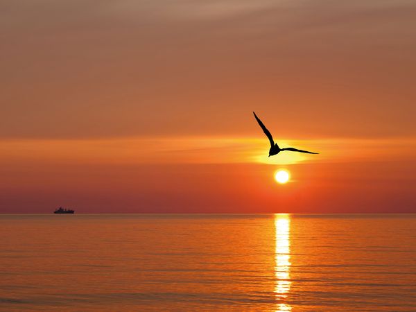 Sommerferien – 3 Tage Ostsee Kurztrip inkl. HP+ Inselhotel Poel in Insel Poel, Mecklenburg-Vorpommern inkl. Halbpension Plus