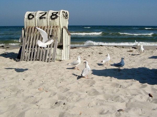 6 Tage Urlaub nahe der Ostsee - 5 Nächte Wyndham Garden Wismar in Gägelow, Mecklenburg-Vorpommern inkl. Halbpension