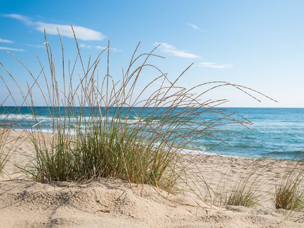 4 Tage Erholung bei Wind und Wetter nahe der Ostsee in Lütjenburg, Schleswig-Holstein inkl. Frühstück