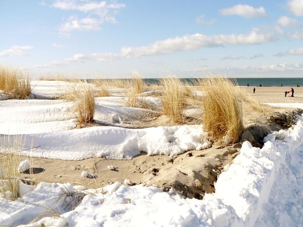 3 Tage 3 Rügener Wintertage inkl. Erlebnisbad & HP premium in Buschvitz, Mecklenburg-Vorpommern inkl. Halbpension Plus