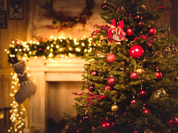 4 Tage Weihnachten am Rande von Rostock - 3 Nächte, Mecklenburg-Vorpommern inkl. Halbpension
