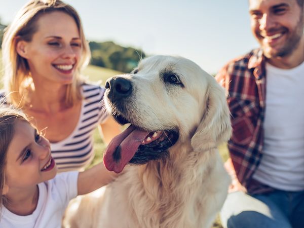 Urlaub mit Ihrem Hund - 3 entspannte Tage auf Rügen in Sassnitz, Mecklenburg-Vorpommern inkl. Halbpension