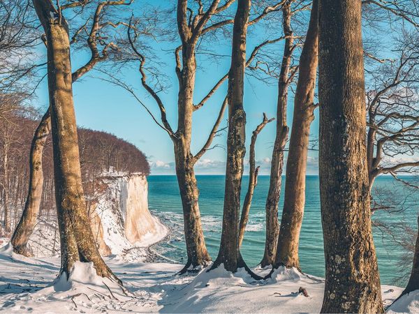 2 Tage Herbst-/ Wintertraum auf Rügen mit Abendbuffet All In in Ostseebad Breege-Juliusruh, Mecklenburg-Vorpommern inkl. Halbpension Plus