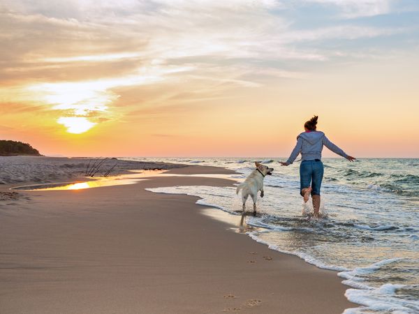 3 Tage Pfötchenwochen Spezial auf Usedom in Ostseebad Heringsdorf, Mecklenburg-Vorpommern inkl. Frühstück