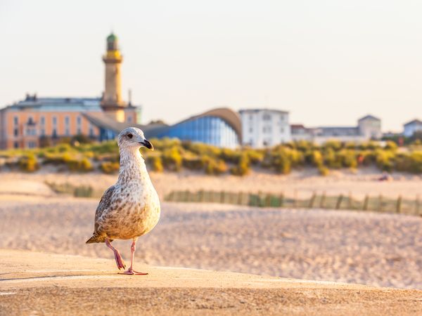 Ostsee-Urlaub in Warnemünde mit Halbpension I 5 Tage, Mecklenburg-Vorpommern inkl. Halbpension