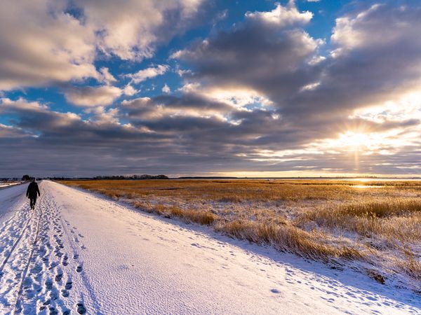 3 Tage Kurzurlaub an der Ostsee in Zingst, Mecklenburg-Vorpommern inkl. Frühstück