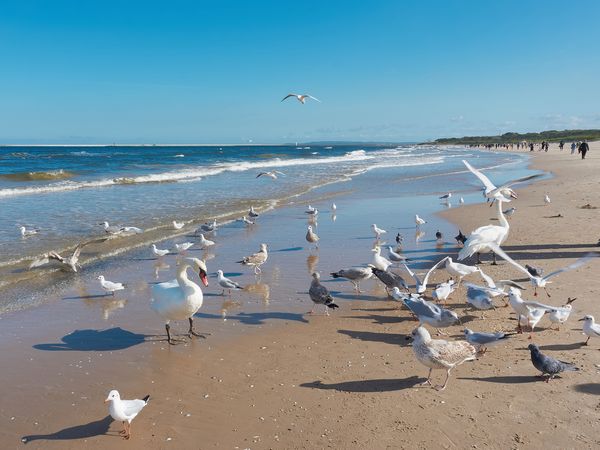8 Tage 7 Nächte Swinemünde – Erholung in der Villa Antares in Swinemünde (Swinoujscie), Westpommern inkl. Halbpension Plus