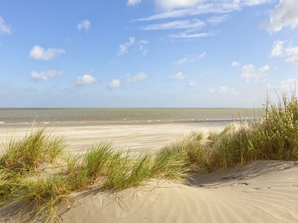 4 Tage im Seehotel Großherzog mit Frühstück in Boltenhagen, Mecklenburg-Vorpommern inkl. Frühstück