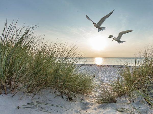 Ostsee und Wellness - 7 Tage Warnemünde in Rostock, Mecklenburg-Vorpommern