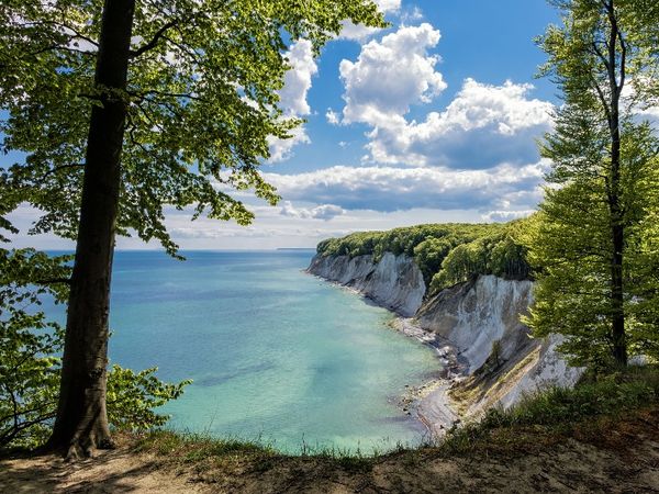 6 Tage einfach mal nach Rügen in Sagard OT Neddesitz, Mecklenburg-Vorpommern inkl. Halbpension