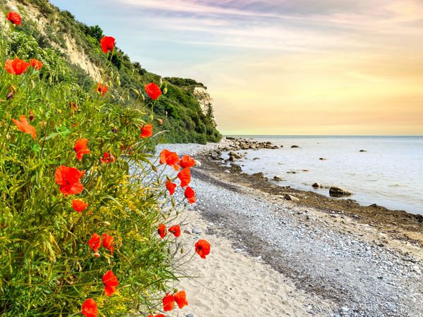 4 Tage einfach mal nach Rügen in Sagard OT Neddesitz, Mecklenburg-Vorpommern inkl. Halbpension