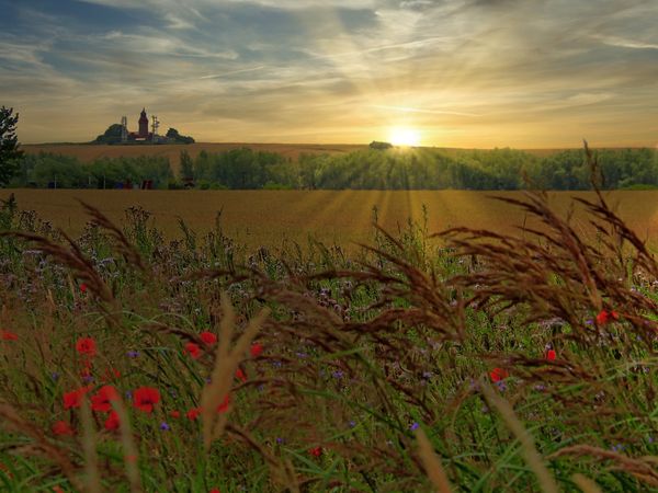 8 Tage Kühlungsborn entdecken in Ostseebad Kühlungsborn, Mecklenburg-Vorpommern