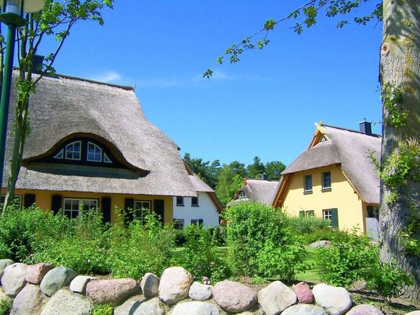 7 Tage Ostseeluft schnuppern mit Wellness in Dierhagen, Mecklenburg-Vorpommern inkl. Frühstück