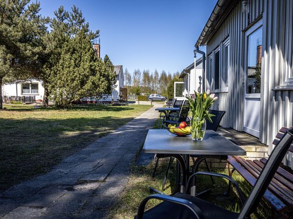 Urlaub mit 4 Pfoten: 3 Tage buddeln an der Boddenküste in Pruchten, Mecklenburg-Vorpommern